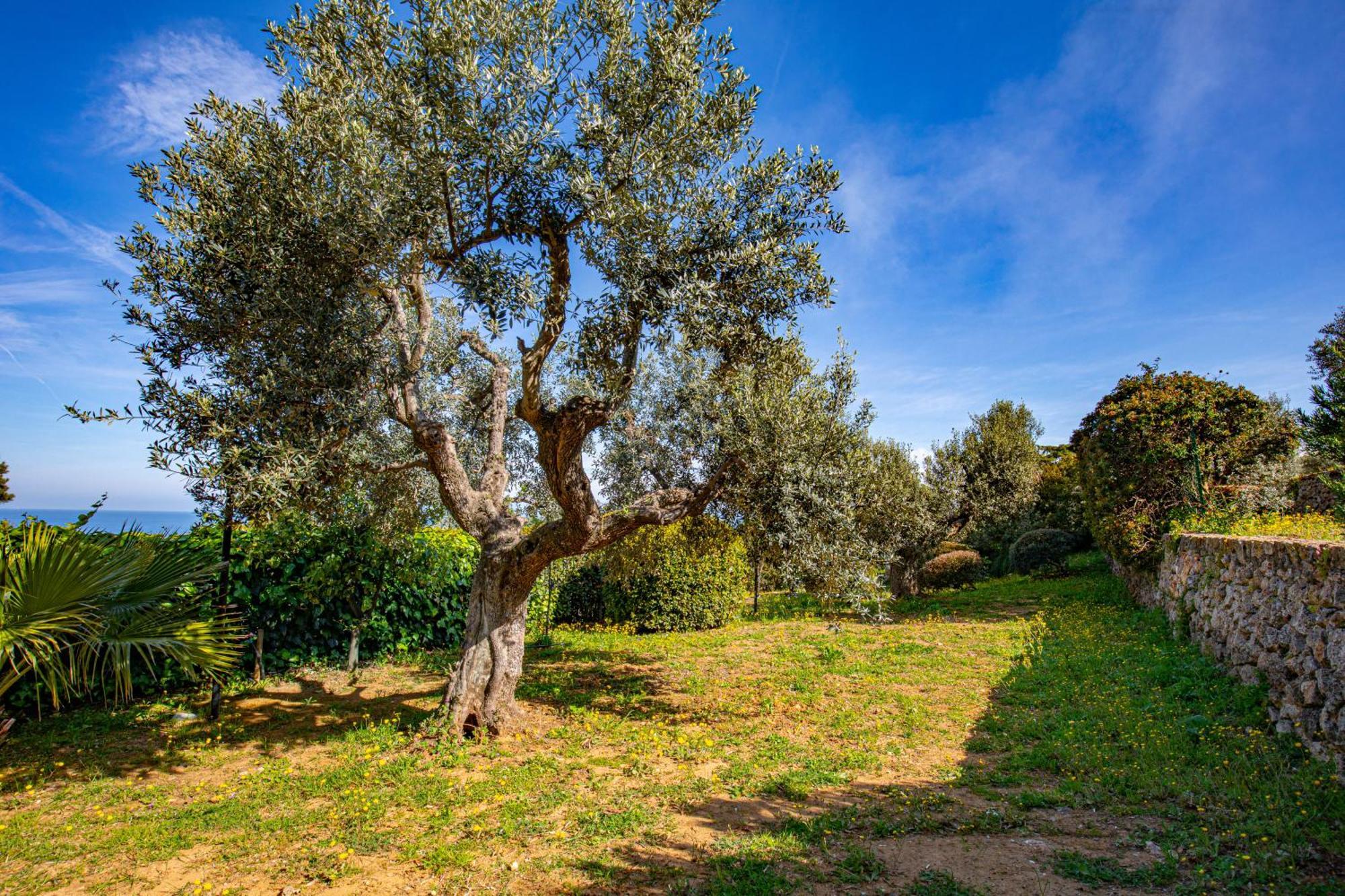 Il Cottage Di Villa Sveva, Splendida Vista Mare بورتو سانتو ستيفانو المظهر الخارجي الصورة